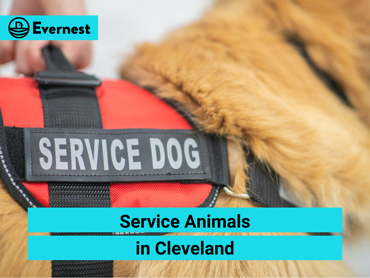 Service Animals in Cleveland: Everything Landlords Need to Know